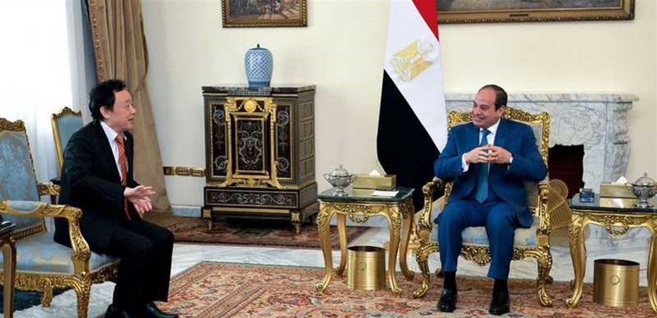 الأوضاع الإنسانية في غزة محور لقاء السيسي مع مدير الفاو 