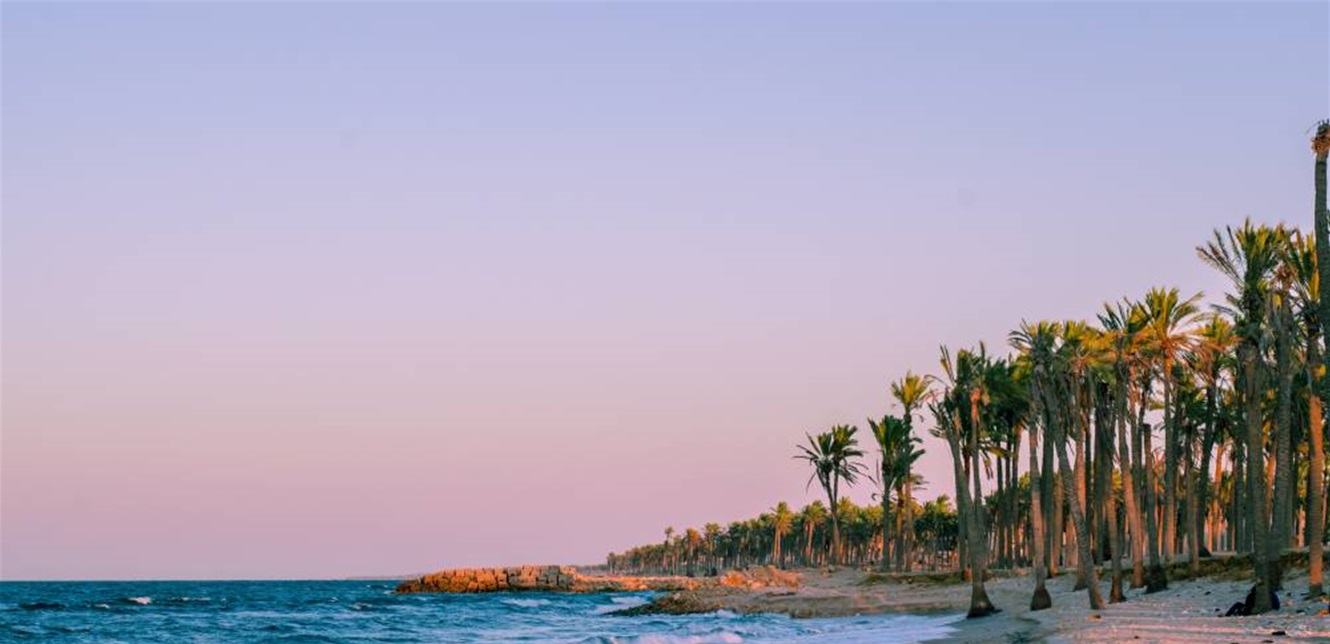 شجار عنيف بين مجموعة من الرجال والنساء.. اليكم ما حصل (صورة)