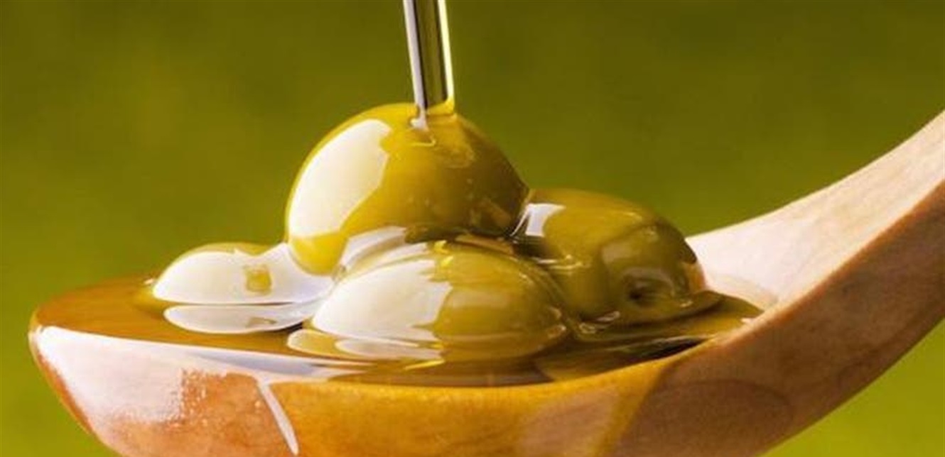 مركب طبيعي من الزيتون ينقص الوزن وينظم سكر الدم.. تعرفوا عليه