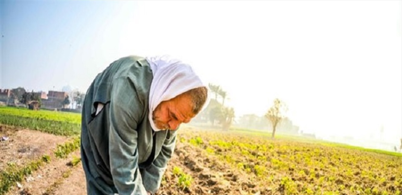 نظراً للأحوال المناخية.. اليكم ما طلبته مصلحة الابحاث العلمية الزراعية من المزارعين