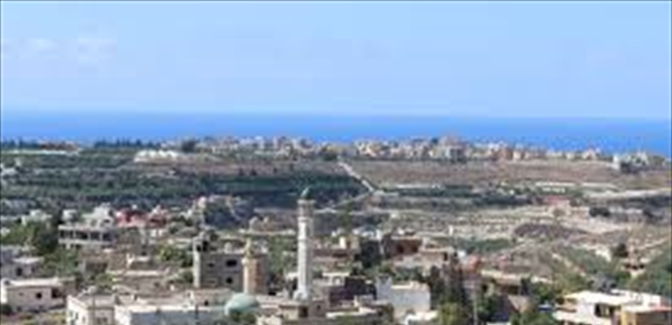 في العاقبية.. توتر عقب اشكال كبير والجيش يتدخل (فيديو)