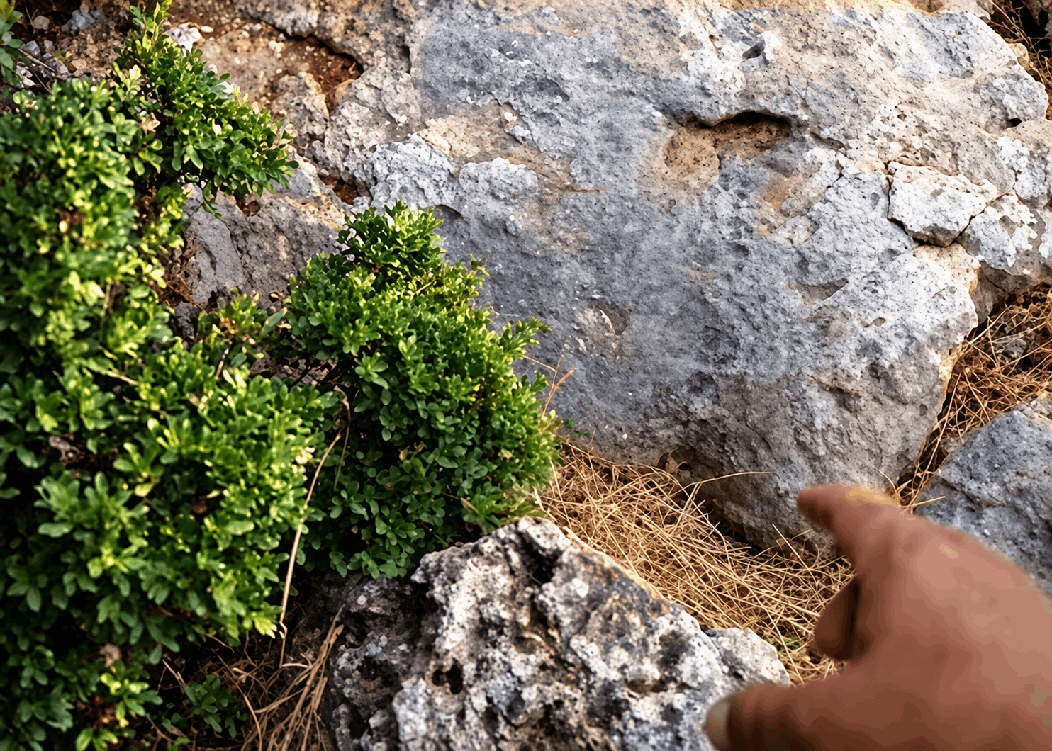 تفاصيل جديدة عن نفق الزعيترية.. هذا ما تبين
