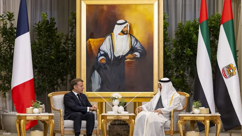 لقاء بين الرئيس الإماراتي ونظيره الفرنسي... هذا ما تم بحثه 