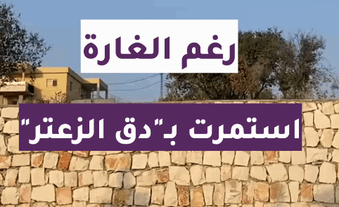 بالفيديو: رغم الغارة.. جنوبية استمرت بـدقّ الزعتر