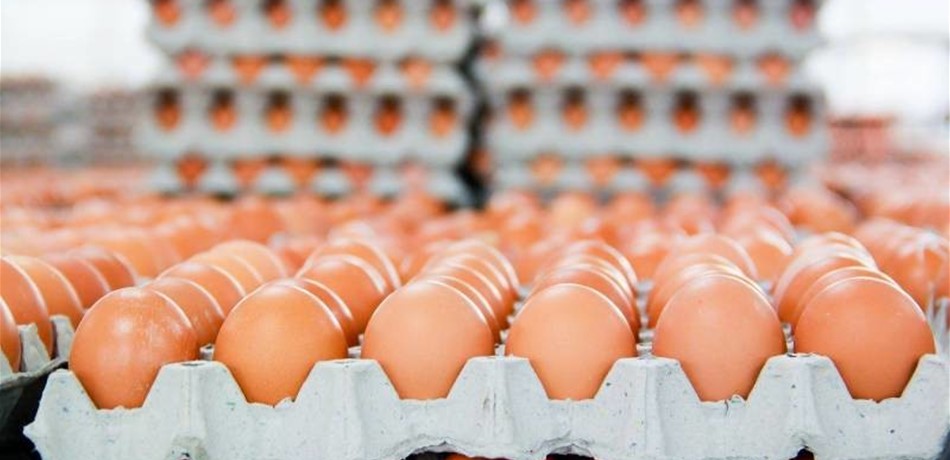 أزمة رياضية بسبب 15 ألف بيضة!