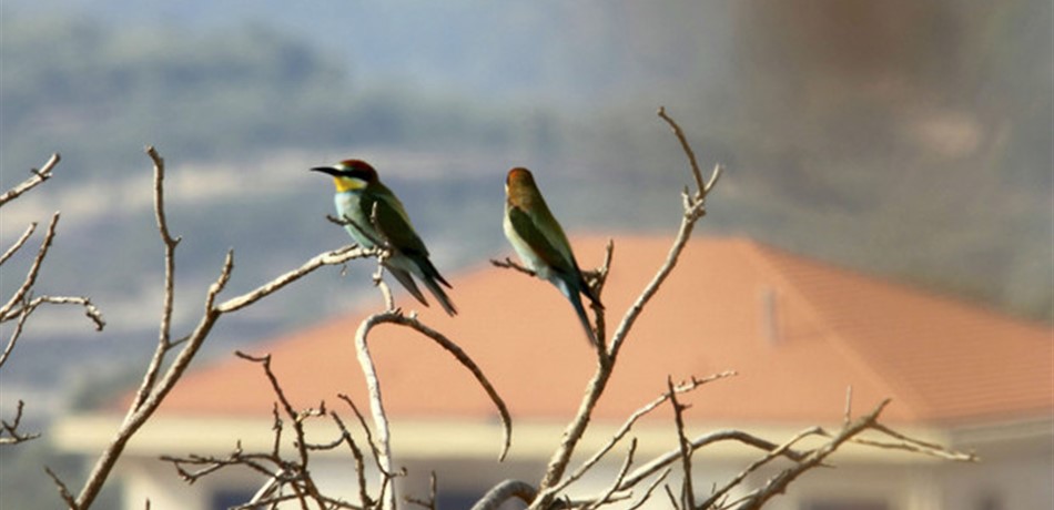 تعميم رئاسي: لجعل سماء لبنان.. آمنة! 