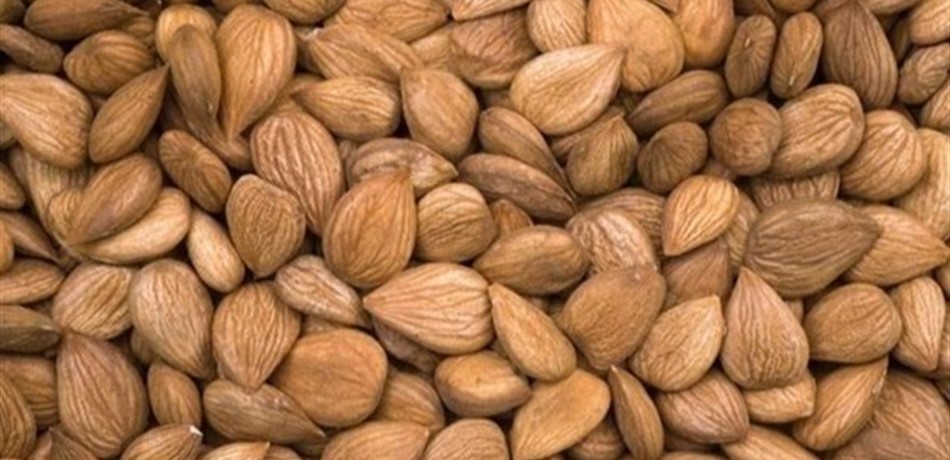 للمرأة.. هذا ما تفعله المكسرات بصحتك