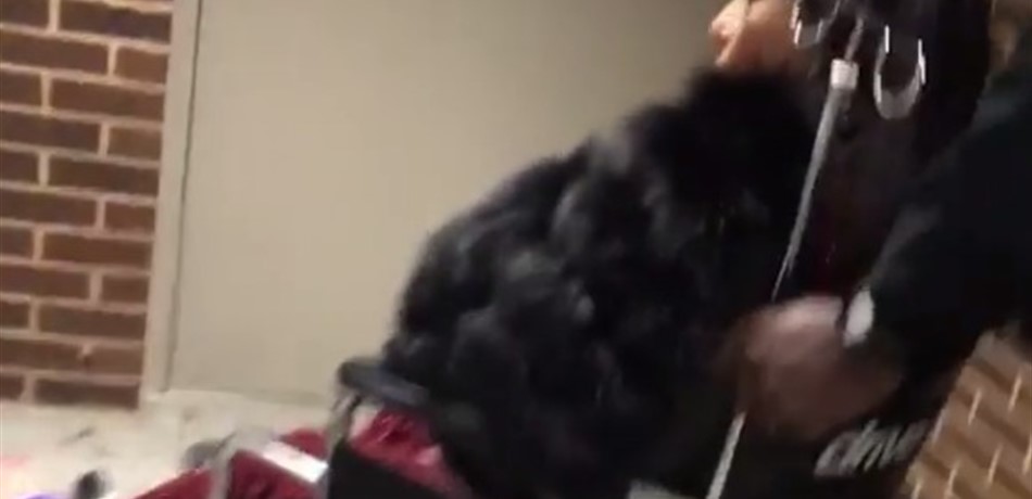 بالفيديو: زوجة فنَّان عربي على الكرسي المتحرّك.. ما السبب؟!