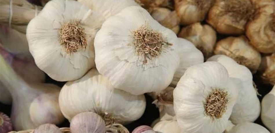 من بينها تخفيض ضغط الدم.. الثوم يقلل خطر الإصابة بـ 3 أمراض خطيرة