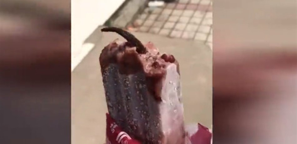 فيديو مقزّز.. هذا ما وجدته فتاة داخل قطعة مثلّجات!