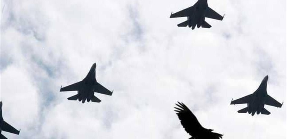 ضربة في أقل من أسبوع.. الطيور "تهاجم" روسيا وتسقط طائراتها!؟