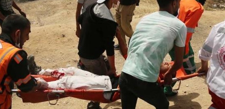 الجامعة العربية تطالب بـ "تحقيق دولي ذي صدقية في جرائم الاحتلال"