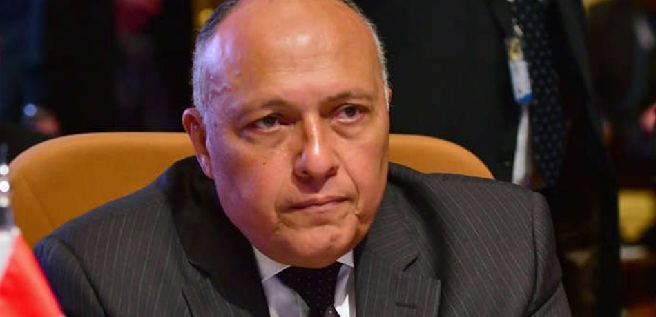 وزير الخارجية المصري في تركيا