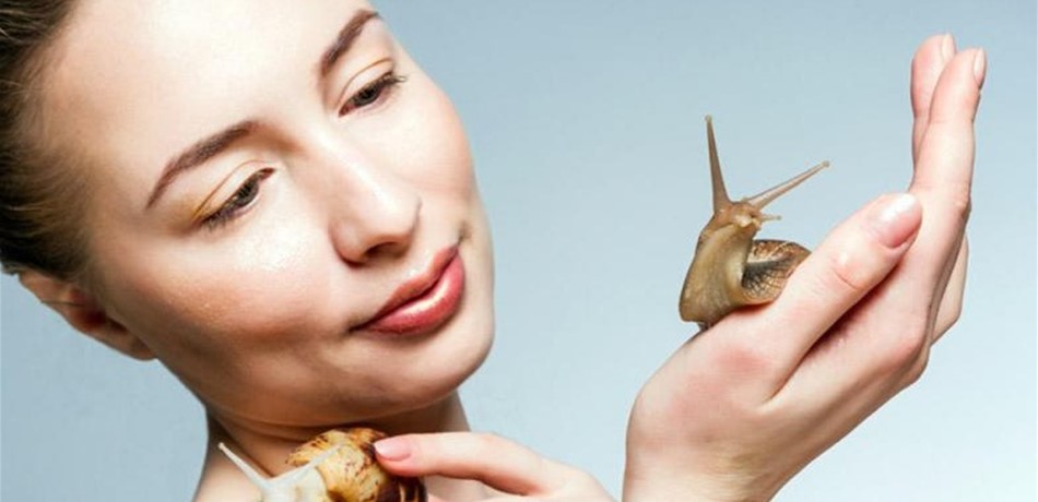 في هذا البلد...مخاط الحلزون يستخدم لفائدة تجميلية