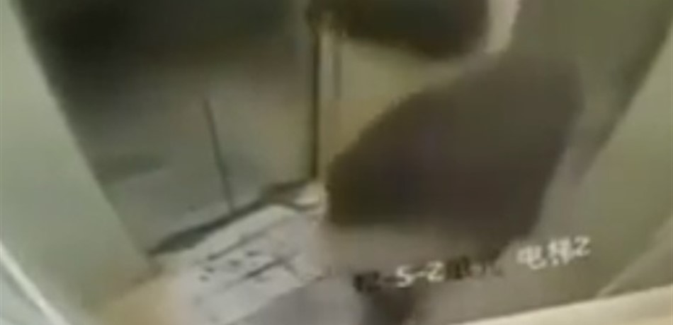 بالفيديو: شاب يعلق داخل مصعد.. بسبب تصرّفاته "الصبيانية"!