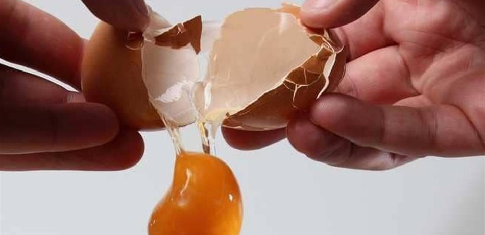 تناول بيضة واحدة يوميًا يحميك من أمراض خطيرة