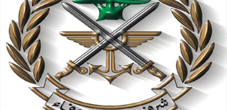 الجيش: دورية إسرائيلية تطلق النار باتجاه باتجاه قطيع ماشية في النقار - شبعا