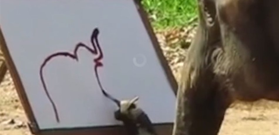 بالفيديو.. هل شاهدتم فيلاً يرسم نفسه من قبل؟!