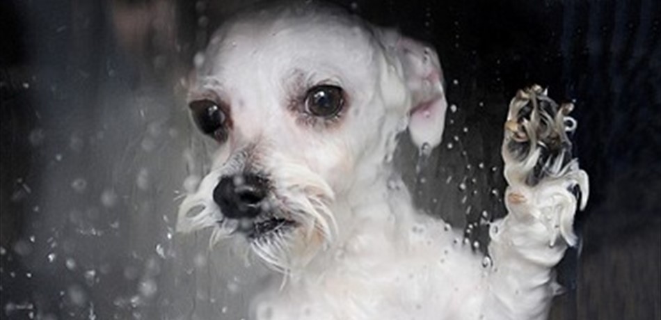 مفاجأة الويك آند.. أمطار وبرق ورعد والحرارة الى 7 درجات!