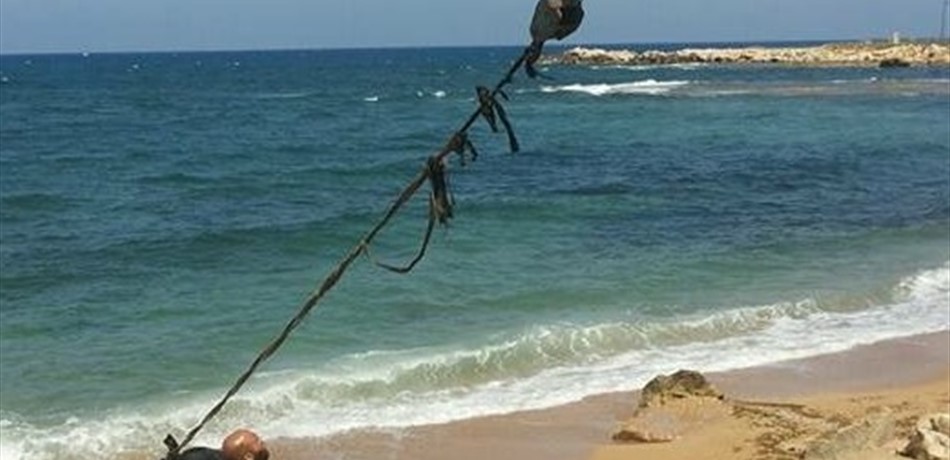 صور مقززة.. سحب بقرة نافقة عند الكورنيش البحري في الميناء