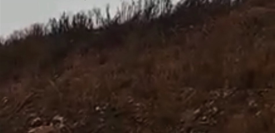 بالصور: مآسي طرابلس "الحزينة".. جبل النفايات السّام و"مكبّ" نهر أبو علي!