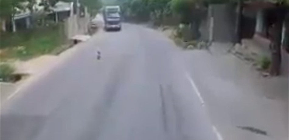 فيديو مرعب.. طفل يتسلّل إلى طريق مليء بالشاحنات!