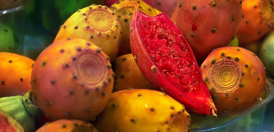 هل تعلَمون ما هي فوائد الصبّار؟