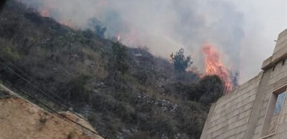 بالصور.. حريق في جبل مشحا أتى على مساحات كبيرة من الأشجار المثمرة