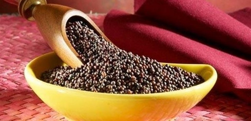 لهذه الأسباب تناولوا حبوب الخردل الخام يومياً