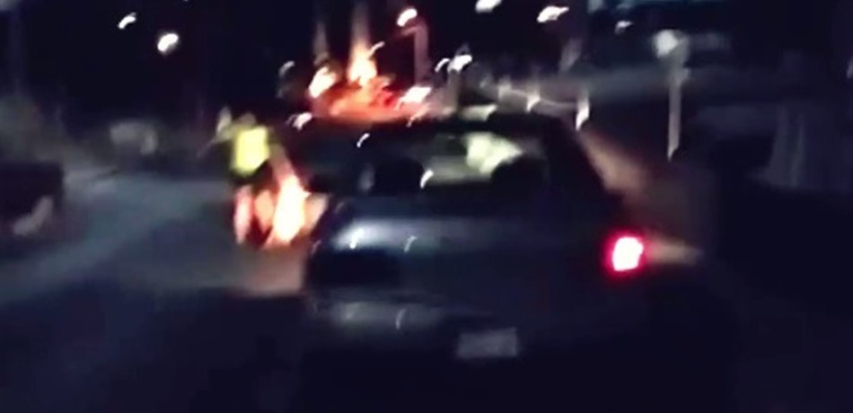 في حكم هو الأول في لبنان.. سجن وغرامة بتهمة "قتل واساءة معاملة الكلاب"