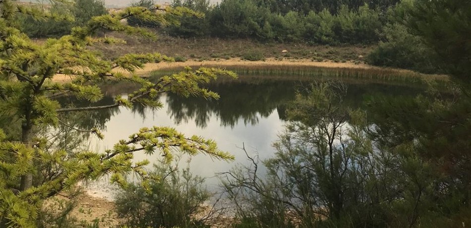 جنبلاط يغرد عن خليج جونيه: الله يحمي الطبيعة