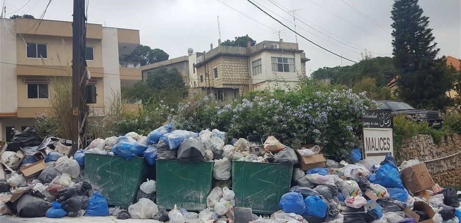 بعد تحرّك البلدية.. الحشرات والجرذان تجمعت!  