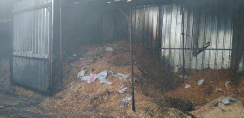 بالصور: في الشويفات.. حريق داخل منشرة أخشاب!
