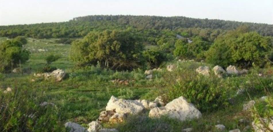 العثور على قذيفة قديمة في خراج بلدة الريحان