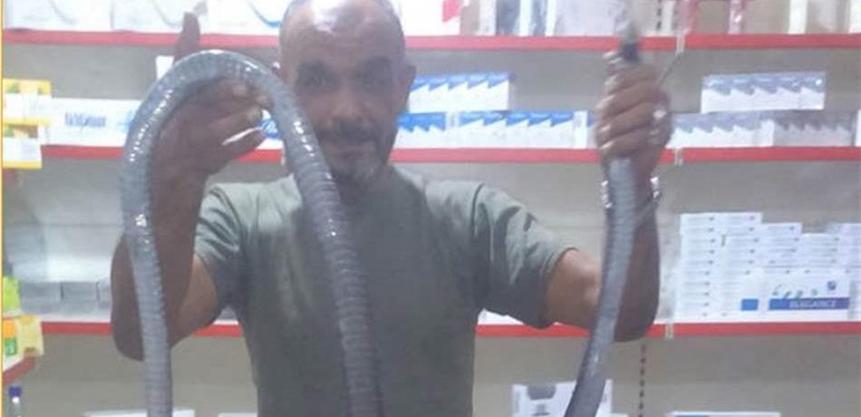 مشهد غير مسبوق في الجنوب.. أفعى بطول 3 أمتار تثير دهشة الاهالي! (صور)