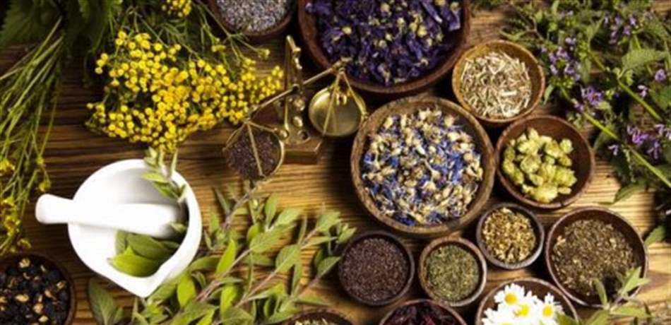 الطبيعة: مصدر الشفاء الأول