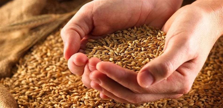 تونس تطرح مناقصة لشراء القمح والشعير