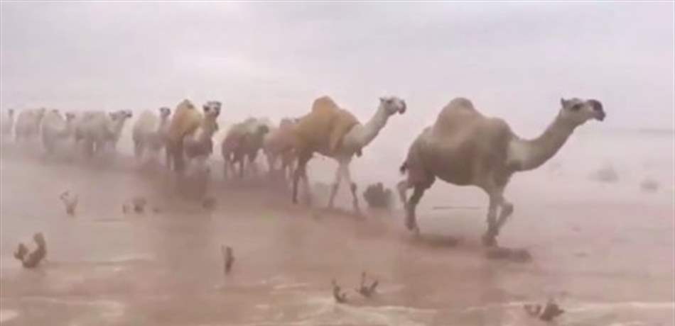 فيديو أذهل روّاد مواقع التواصل.. صحراء السعودية كما لم تروها من قبل