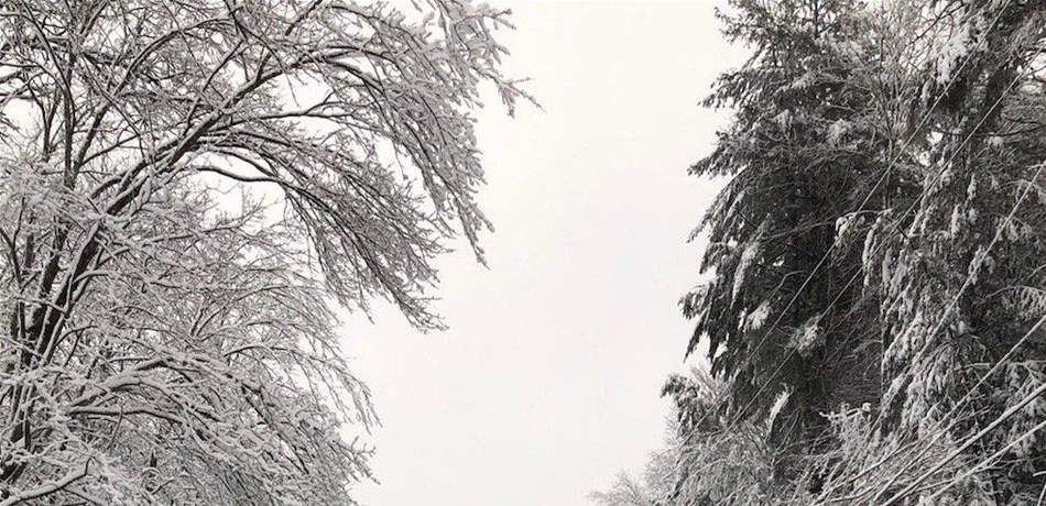 دراسة مخيفة: الثلوج قد تقتلكم!