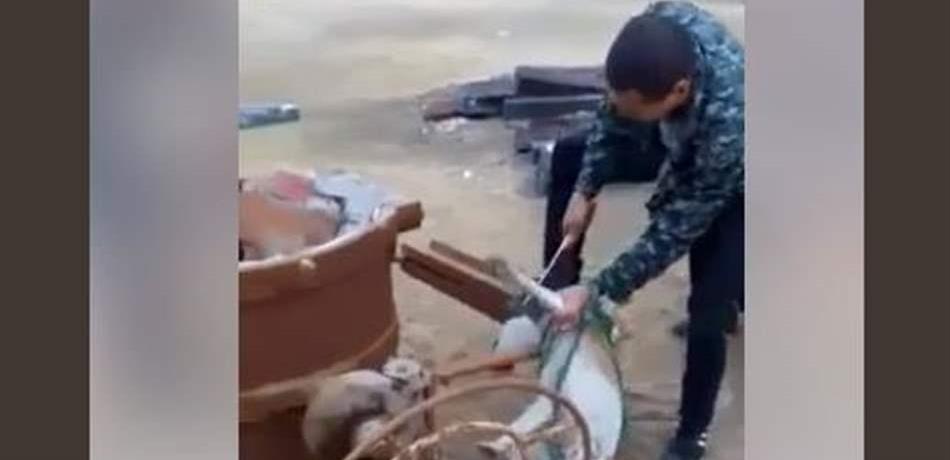 في دولة عربية.. عمّالٌ يذبحون كلباً لأكل لحمه! (فيديو) 