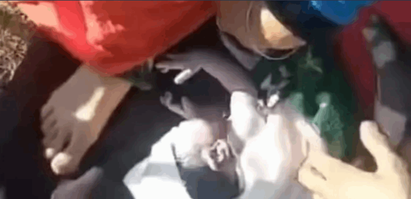 بعد رفض المستشفى استقبالها: امرأة تلد في حديقة أمام الملأ.. فيديو يهز مواقع التواصل