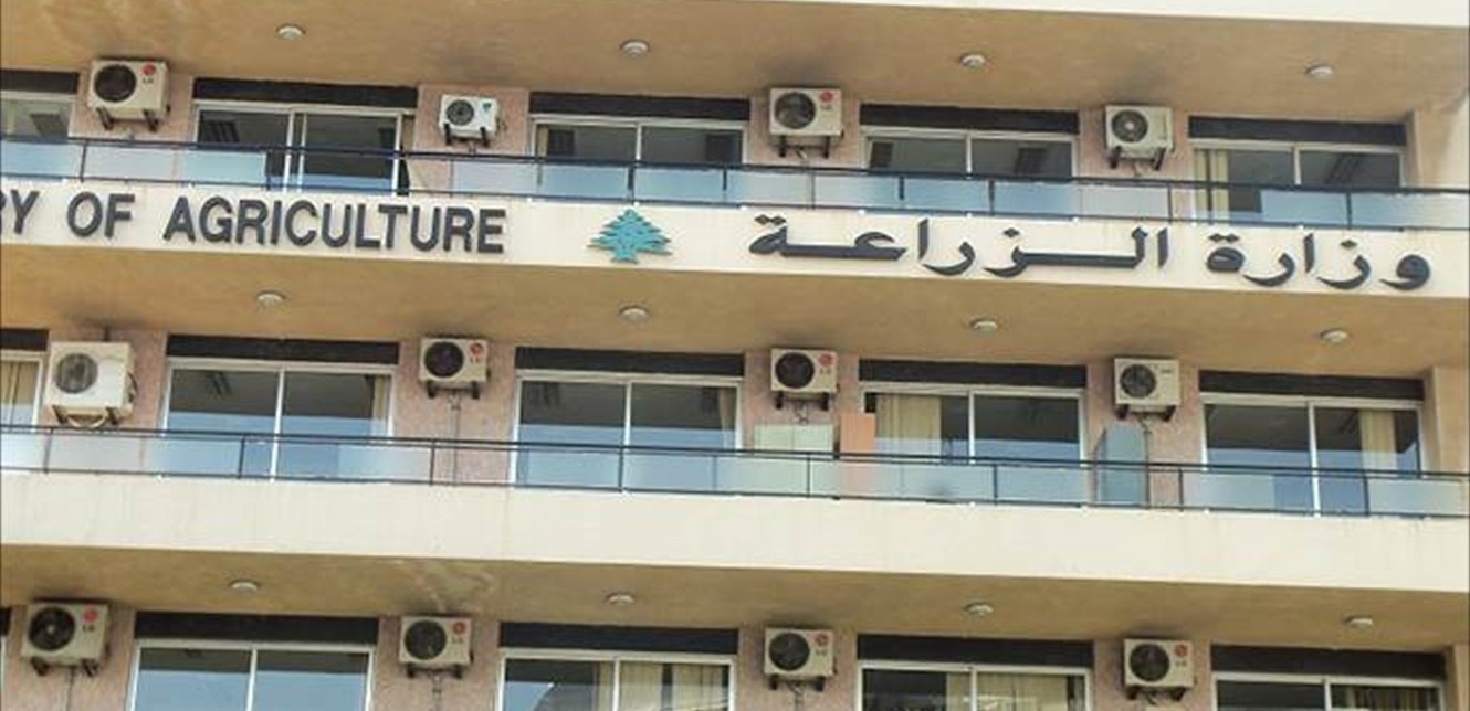 عن شراء محصول القمح.. هذا ما أعلنته وزارة الزراعة