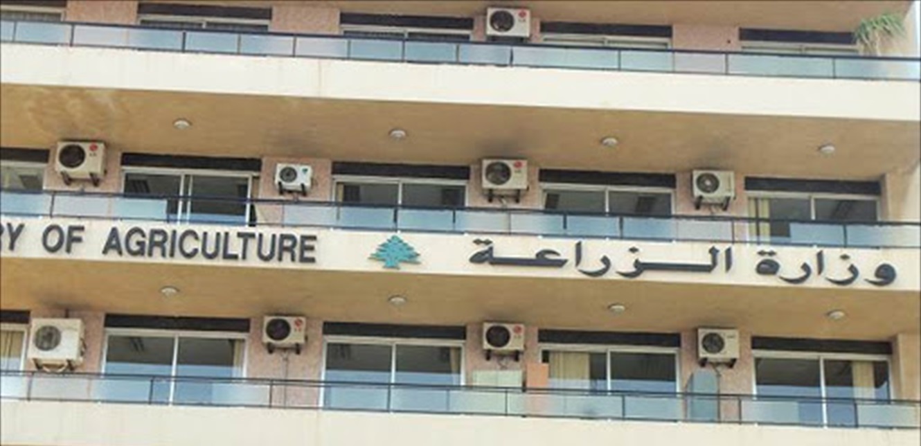 بيان لوزارة الزراعة يتعلّق بمكافحة حشرة السونا... ماذا أعلنت فيه؟