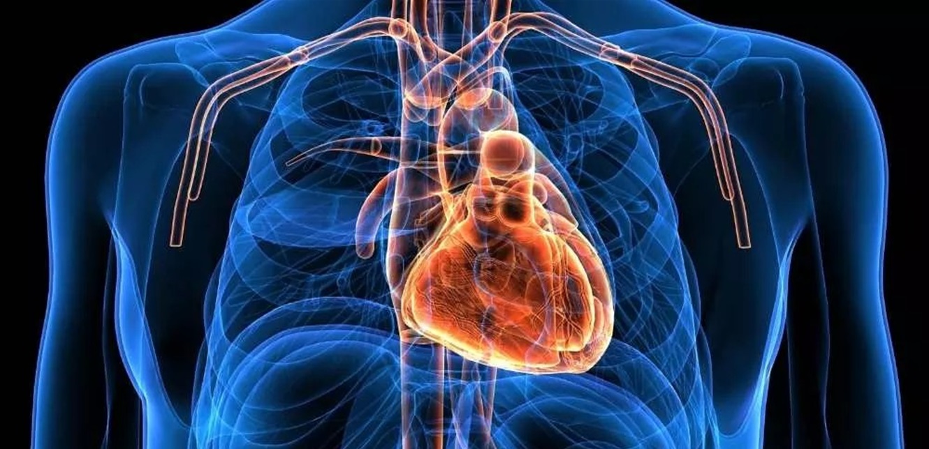 بحثٌ جديد عن الإجهاد.. إقرأوا ما قاله باحثون