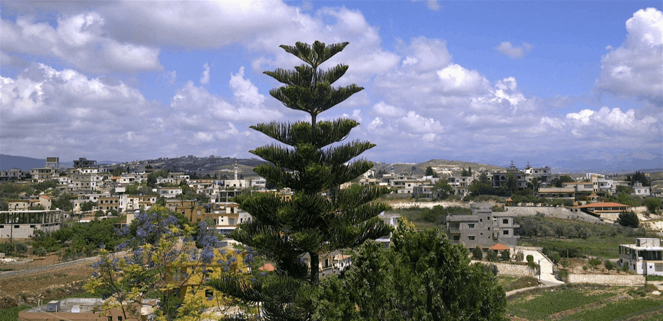 شعبة المعلومات داهمت منزلاً في الجنوب... أوقفت 3 سوريين وهذا ما ضبطته