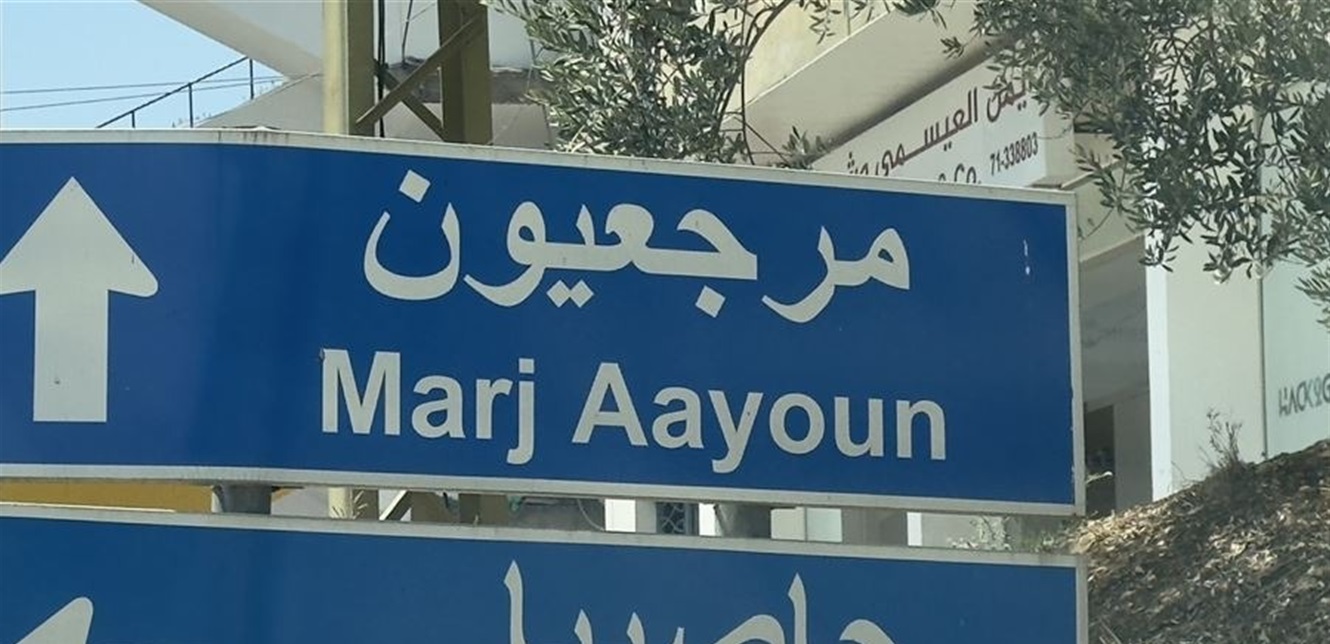 في مرجعيون.. طفل يتعرض للدغة أفعى فلسطين وهذا وضعه الصحي (صورة)