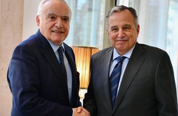 سلامة التقى  فهمي وبحثا في الاوضاع العربية الراهنة