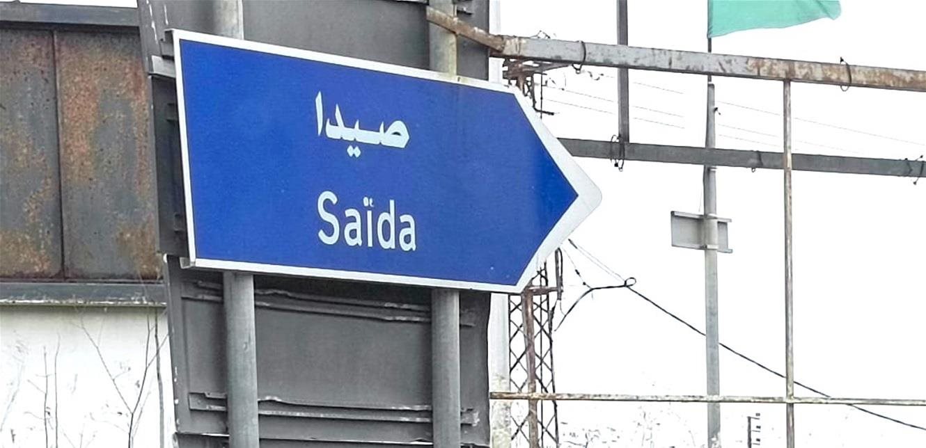 تسميم وقتل كلاب في صيدا.. البلدية تتحرك قضائياً