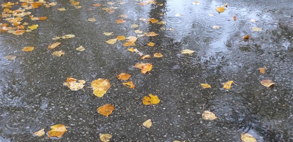 سلسلة من المنخفضات بطريقها نحو لبنان.. الأمطار والثلوج عائدة وهذا ما تخبئه آخر أيام شباط