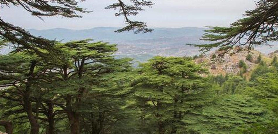تذكير: فتح أبواب المحميات الطبيعية مجانا يوم غد